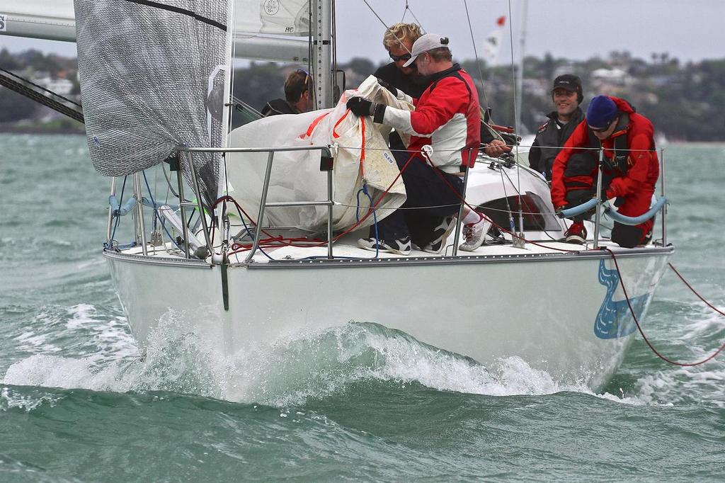- Young 88 - Owner Driver Championships © Richard Gladwell www.photosport.co.nz